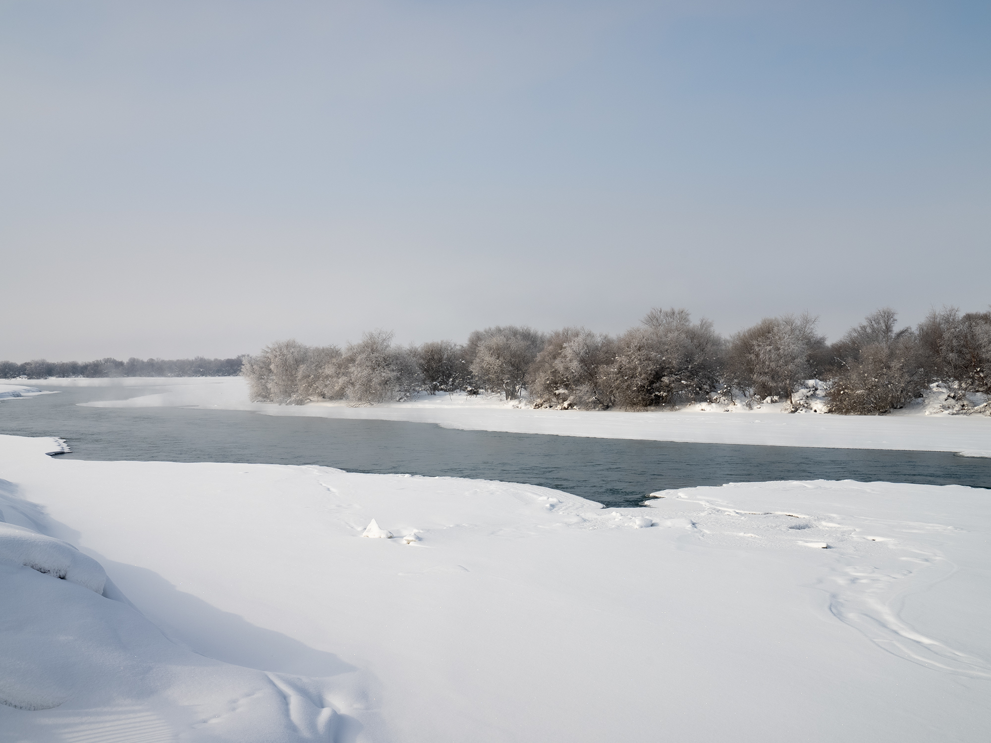 亲属：群众的褒奖是对贺娇龙最好的告慰(图2)