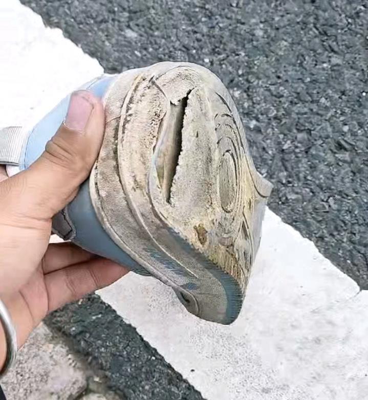 26岁男子从杭州徒步回重庆，53天走1400多公里，途中受邀吃杀猪饭(图2)