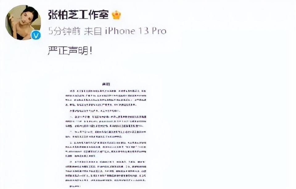 张柏芝丑闻曝光两月，荒唐的事还是发生了，儿子为此付出代价(图22)