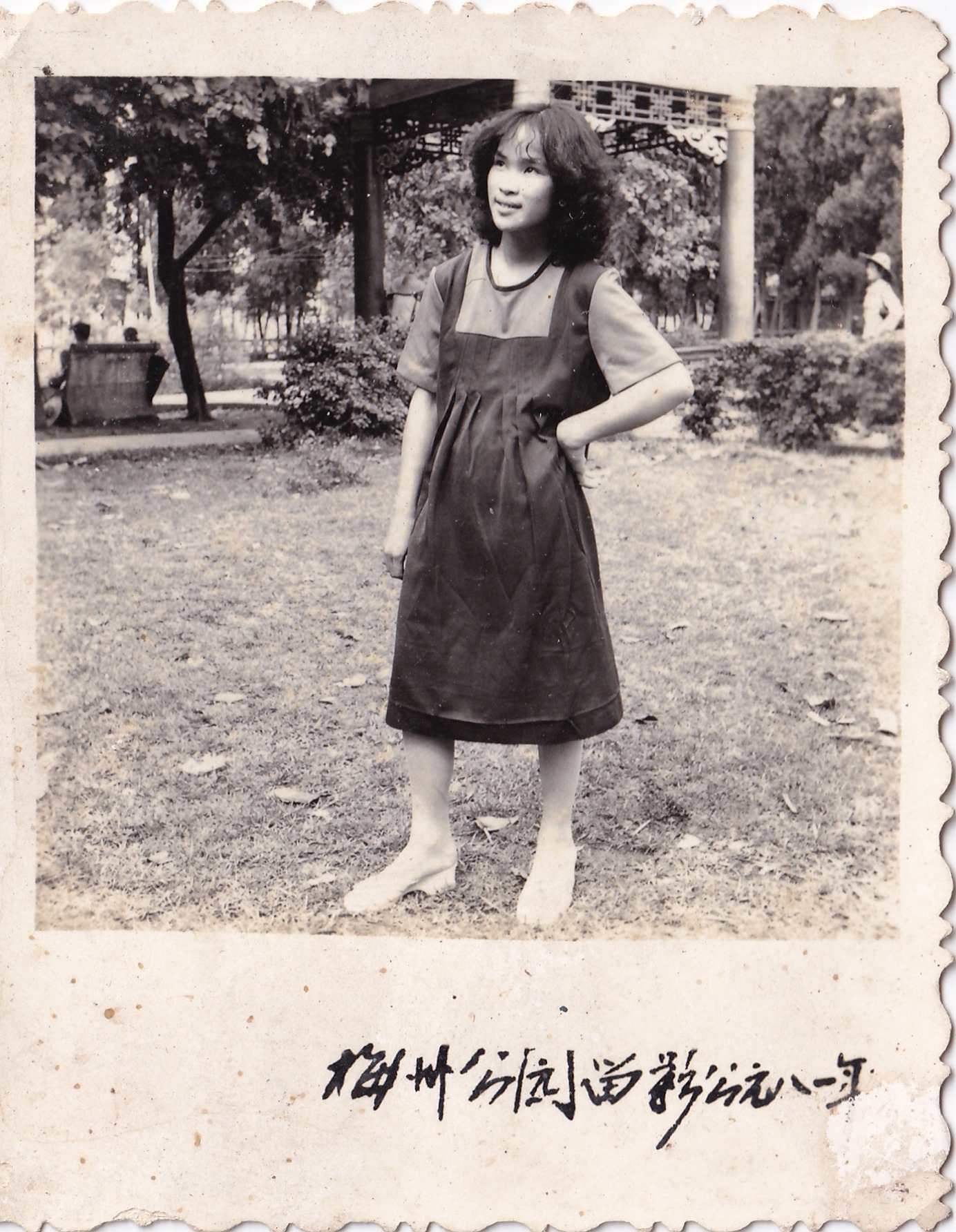 60岁正是打电竞的年纪(图5)