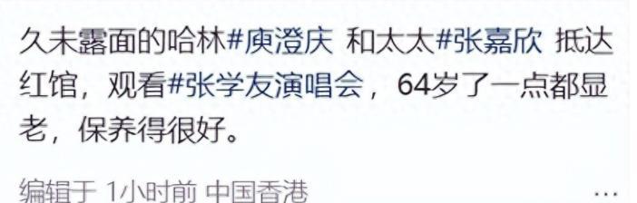 庾澄庆牵老婆看演唱会！张嘉欣脸黄皱纹多，却被夸比伊能静有气质(图3)