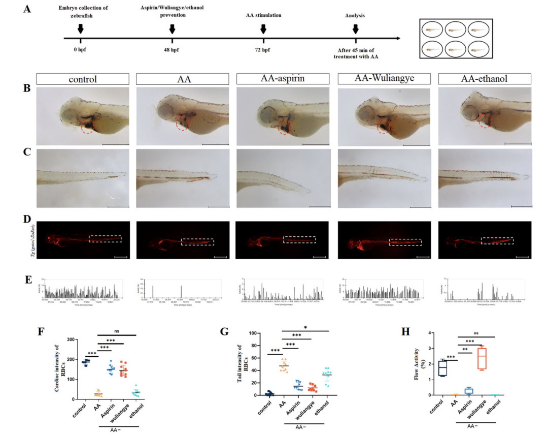 五粮液抗血栓，效果比阿司匹林还强？(图2)
