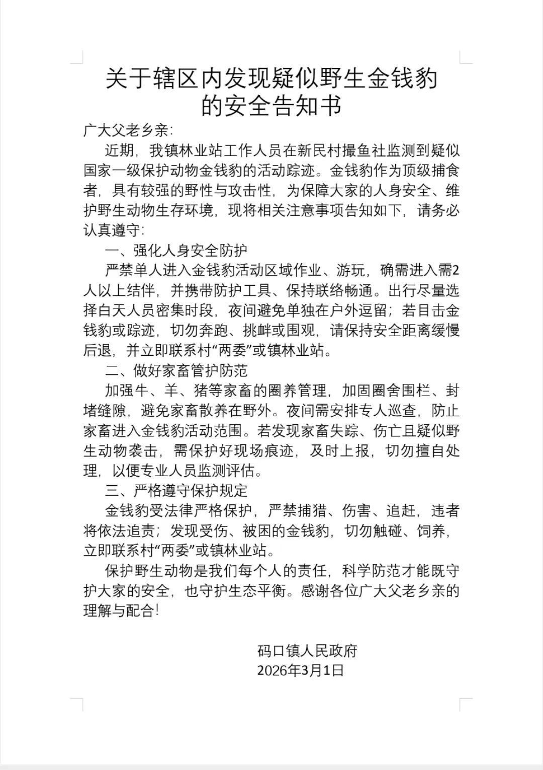 云南一地发现疑似金钱豹踪迹？镇政府工作人员：地形复杂，核实可能要花一些时间(图1)