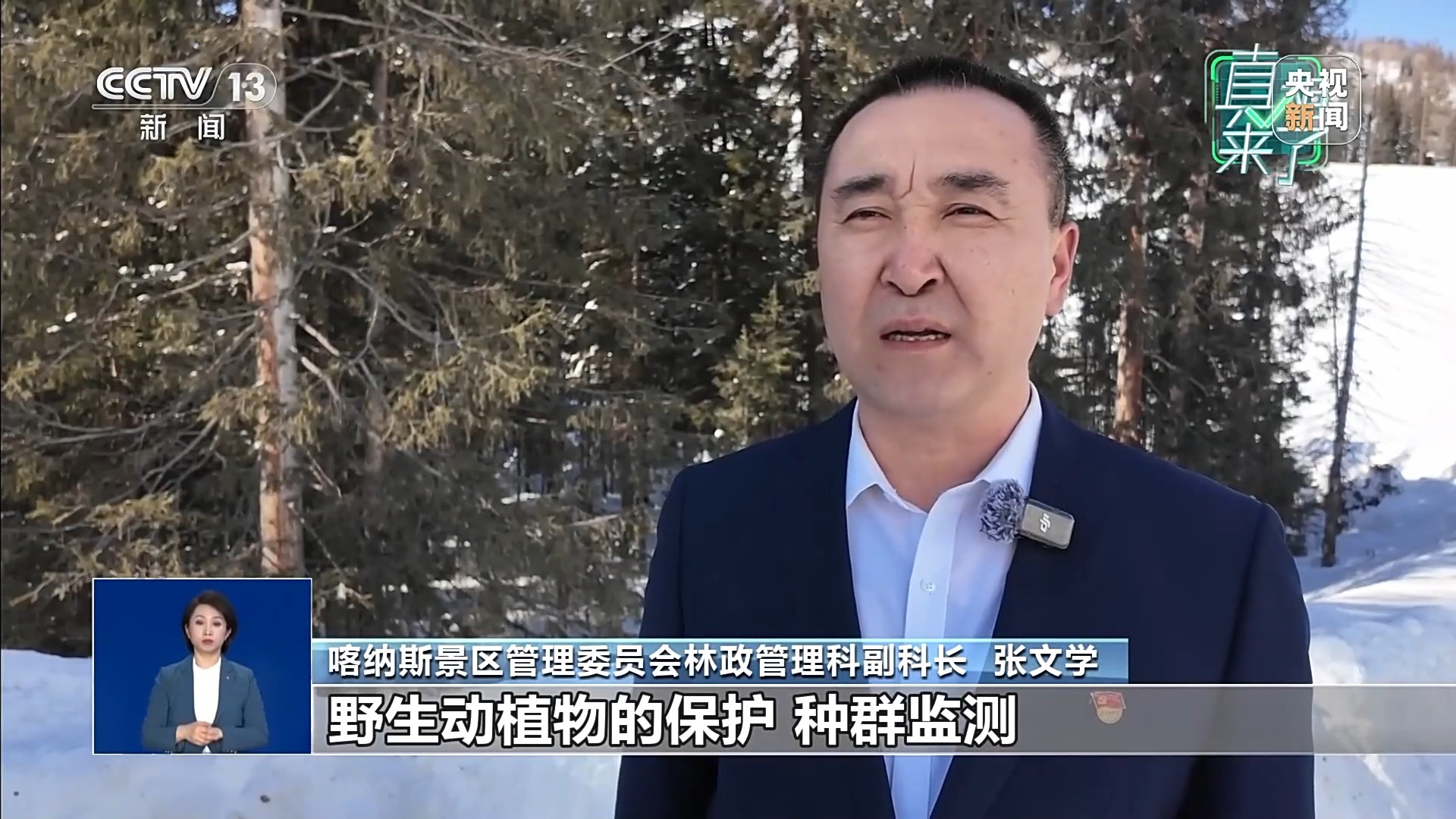 新疆喀纳斯出现棕熊？假的！