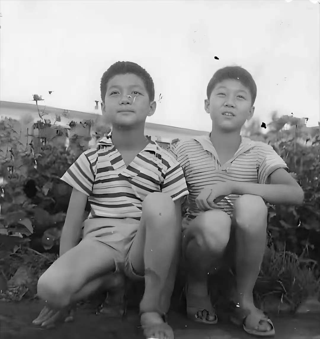 李亚鹏与哥哥失和18年,母亲心如汤煮,如今他们家终于迎来晴天(图6) 李亚鹏与哥哥失和18年,母亲心如汤煮,如今他们家终于迎来晴天(图6)