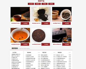 新版AI泛站群/泛目录站群系统/全新泛目